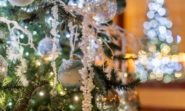 Christmas Tree Saunton